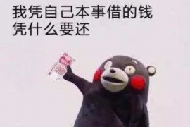 香河企业清欠服务